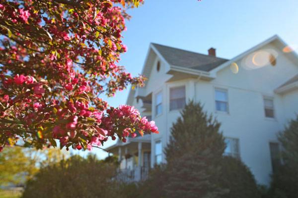 Mindemoya Twin Peaks B&B المظهر الخارجي الصورة